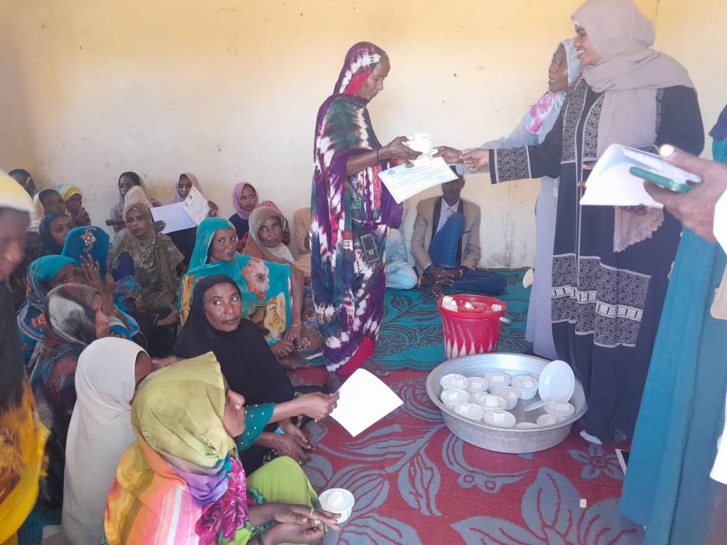Training of Veterinary Schools in Project Areas