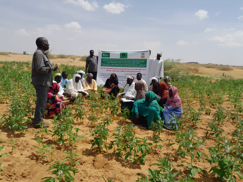 Training of the Agricultural Committee in Targeted Areas for Agricultural and Horticultural Development