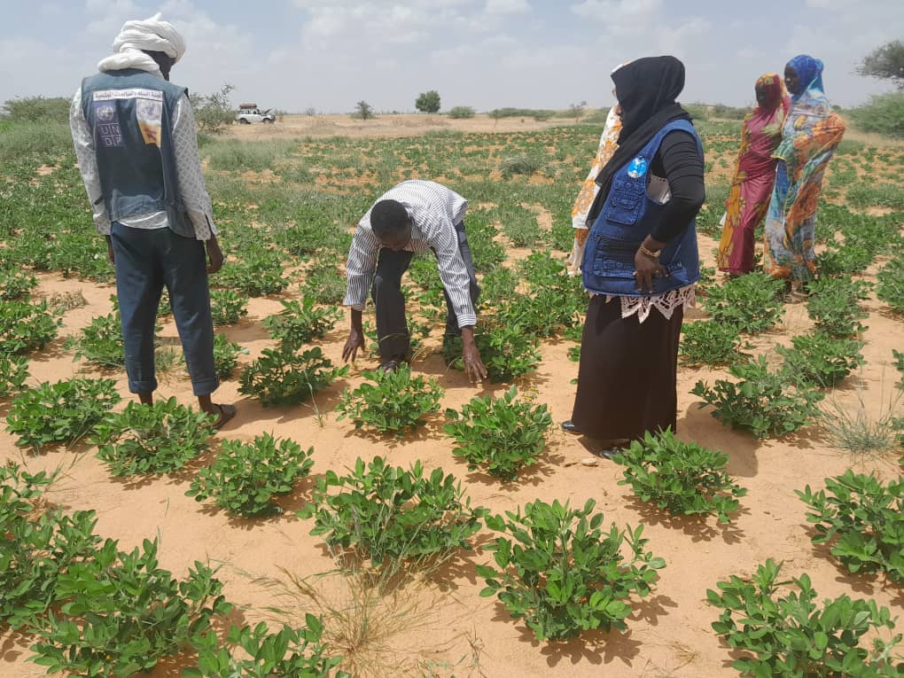 Training of the Agricultural Committee in Targeted Areas for Agricultural and Horticultural Development