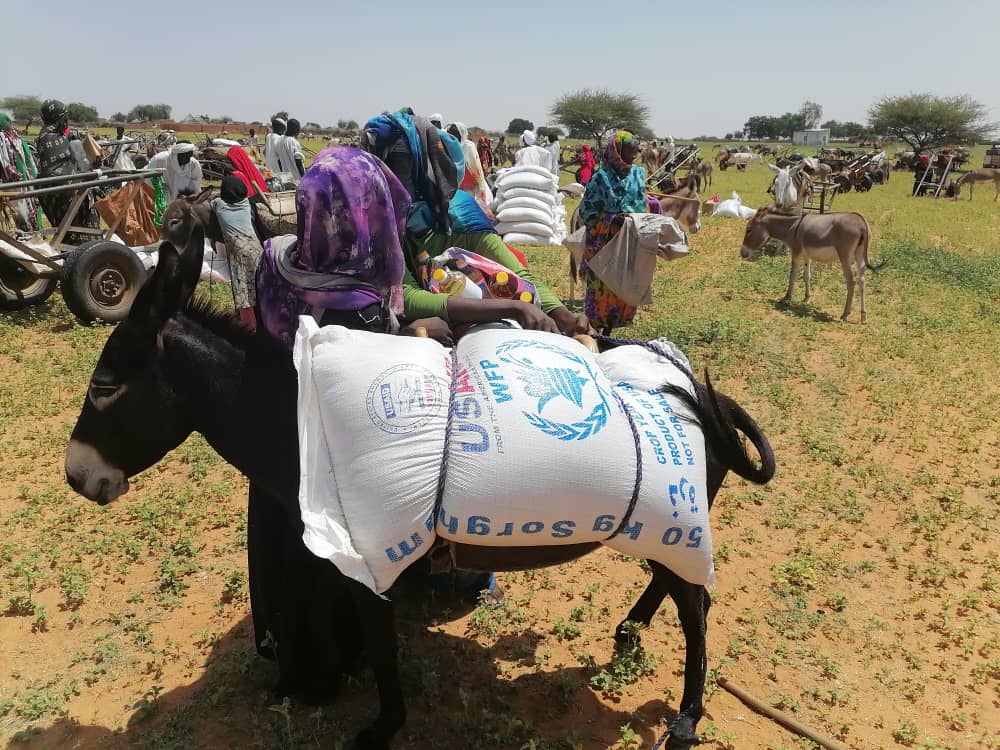 Distribution of Relief Supplies to Displaced Persons in Displacement Camps
