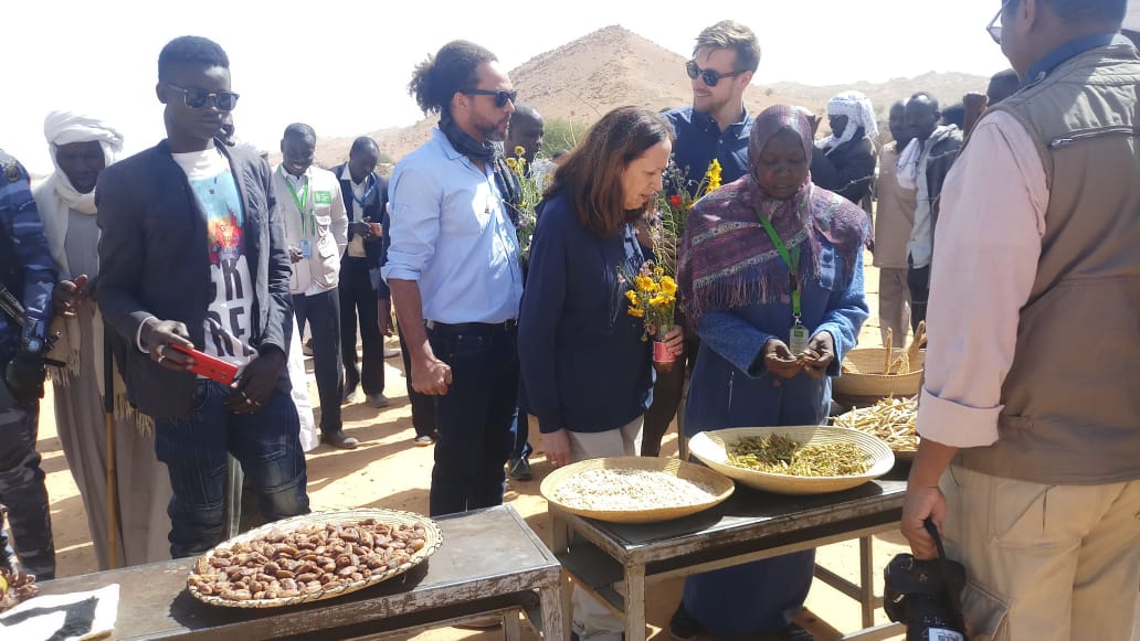 EU Ambassadors Visit North Darfur to Monitor Internationally Funded Peace and Stability Projects
